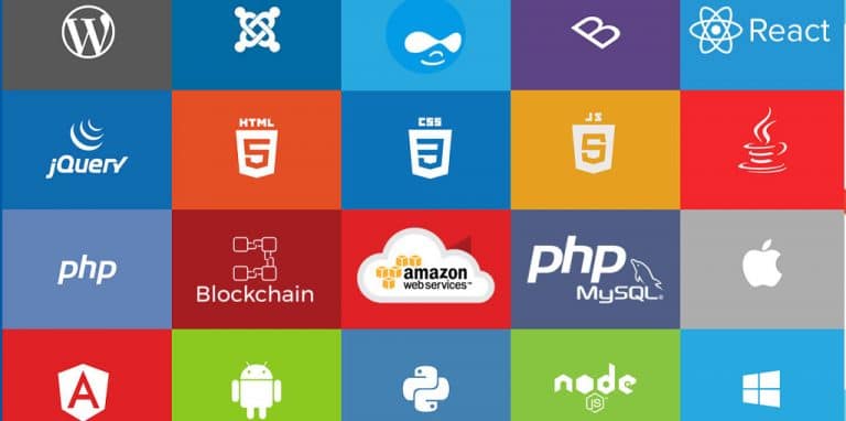 Custom Software Development – The Digital Mates